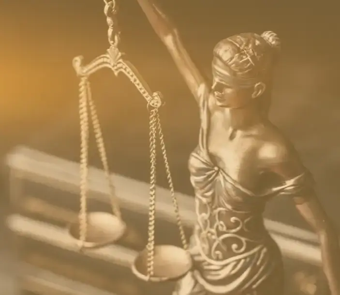 Matrimonial Court Support